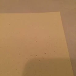 Gig Posters Cold War Kids - 2010 Third Alert Designs Poster Print California Signed And #'d