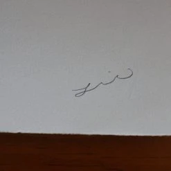 Jay Turner/The Lie Wolverine - 2016 Jay Turner The Lie Poster Print C2E2 Hand Signed And Numbered