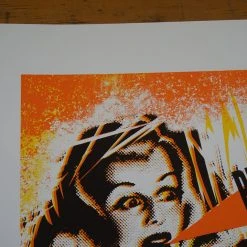 Pretty Lights - 2012 Carlos Hernandez Poster Houston, TX Bayou 11 Pretty Lights - 2012 Carlos Hernandez Poster Houston, TX Bayou