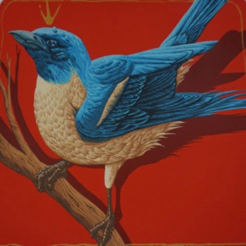 Art Prints Lazuli (Blue Bird) - 2016 Andrew Ghrist Poster Galerie F 3 Art Prints Lazuli (Blue Bird) - 2016 Andrew Ghrist Poster Galerie F