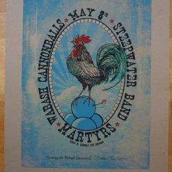 Sold Out Posters The Steepwater Band - 2015 TSB Poster Chicago, IL Martyrs VARIANT