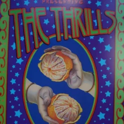 The Thrills - 2004 Dennis Loren Poster Patrick Park Troubadour Gig Posters
