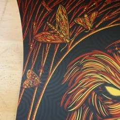 Alabama Shakes - 2016 Todd Slater Poster Taos AP Kit Carson Park Gig Posters