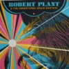 Robert Plant - 2016 John Vogl Poster Dallas, TX Moody Theater