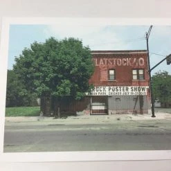 Flatstock 40 - 2013 Dan MacAdam Crosshair Poster Chicago, IL Union Park