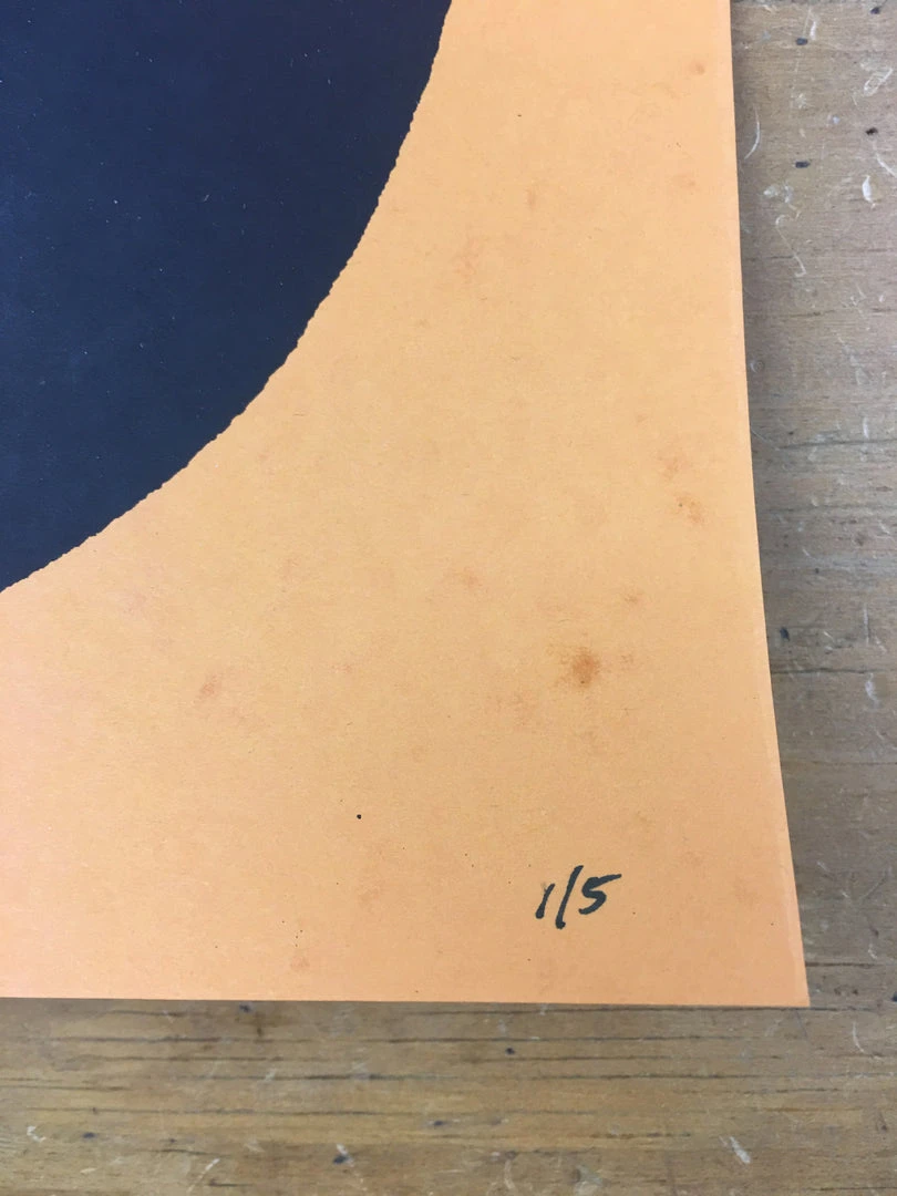 Bob Dylan The Rolling Stone - 2014 Brian Methe Art Print Orange Variant 7 Bob Dylan The Rolling Stone - 2014 Brian Methe Art Print Orange Variant