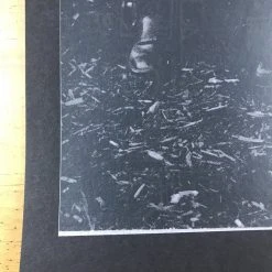 The Raconteurs - 2008 Rob Jones Poster Black Light, Stamps, Jack White Gig Posters