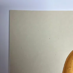 Partisan - 2020 Mike Mitchell Poster Print Food Dudes Potato AP