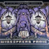 Half Hazzard Press Widespread Panic - 2016 Half Hazard Press Poster Broomfield, CO
