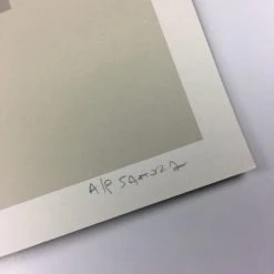 Passing Through (Chicago Series) - 2013 Justin Santora Poster Art Print Art Prints