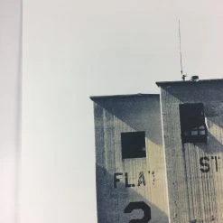 Flatstock 21 - 2009 Dan MacAdam Crosshair Poster Chicago, IL Union Park