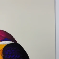 Fat Bird - 2020 Mike Mitchell Poster Rufous-Backed Dwarf Kingfisher 1st Art Prints