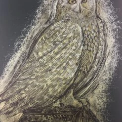 Reconstructed Snowy Owl - Dan Grzeca Poster Art Print Art Prints