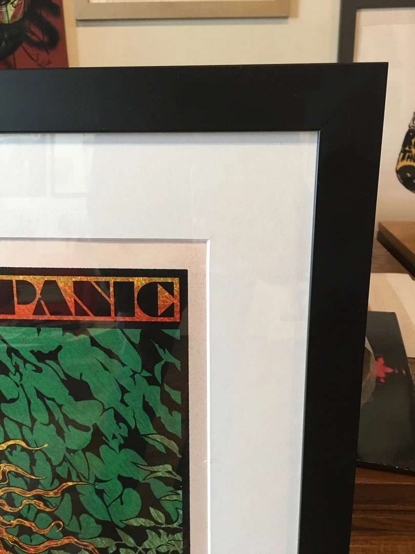 Widespread Panic - 2016 Chuck Sperry Poster Savannah Rose Shimmer #1 FRAMED 9 Widespread Panic - 2016 Chuck Sperry Poster Savannah Rose Shimmer #1 FRAMED