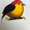 Fat Bird - 2019 Mike Mitchell Poster Wire-tailed Manakin Variant