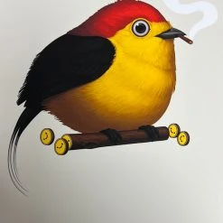 Fat Bird - 2019 Mike Mitchell Poster Wire-tailed Manakin Variant