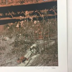 Luke Bryan - 2013 Dan MacAdam Crosshair Poster Toledo, OH Huntington Center