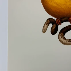 Fat Bird - 2020 Mike Mitchell Poster Rufous-Backed Dwarf Kingfisher 1st Art Prints