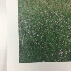 Art Prints Open City - 2011 Dan MacAdam Crosshair Poster Art Print