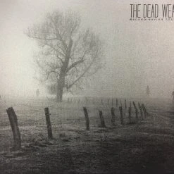 Gig Posters The Dead Weather - 2009 Todd Slater Poster Scandinavian Tour