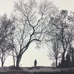 Wish You Were Here - 2011 Dan McCarthy Poster Art Print Art Prints