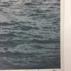 Cranes - 2011 Dan MacAdam Crosshair Poster Art Print Art Prints