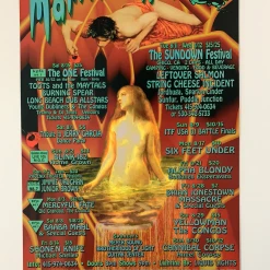 Carolyn Ferris Gig Posters MHP 50 Maritime Hall - 1998 Poster August Blink-182, SCI, Leftover Salmon San Fran 1st