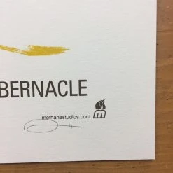 Ray LaMontagne - 2006 Methane Studios Poster Atlanta, GA Tabernacle Gig Posters