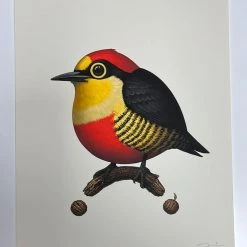 Art Prints Fat Bird - 2020 Mike Mitchell Poster Yellow Fronted Woodpecker AP