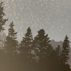 As The World Turns - 2010 Dan McCarthy Poster Art Print Art Prints