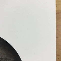 Fat Bird - 2017 Mike Mitchell Poster Himalayan Bulbul Art Prints 12 Fat Bird - 2017 Mike Mitchell Poster Himalayan Bulbul Art Prints