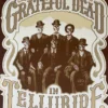 Grateful Dead - 1987/2007 Steve Johannsen Poster X/400 RP-3 Edition, CO