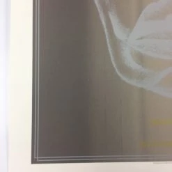 Igor Stravinsky's Rite Of Spring - 2013 Dan MacAdam Crosshair Poster Chicago, IL