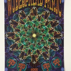 BGP 241 Widespread Panic - 2000 Chris Shaw The Warfield Theatre San Fran 1st Gig Posters