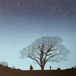 Art Prints Don Stepped Outside - 2005 Dan McCarthy Poster Art Print