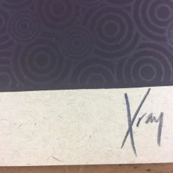 Gig Posters Bob Dylan - 2013 Xray Poster Art Print