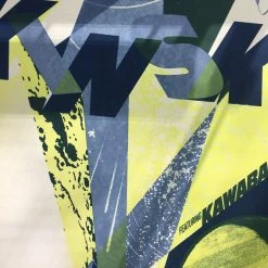 Kinski - 2004 Burlesque Of North America Poster Minneapolis, MN 7th St. Entry