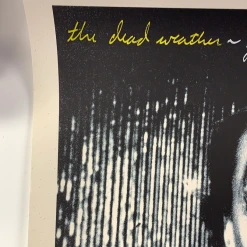 The Dead Weather 2009 Rob Jones Poster (with Damage) Chicago Vic Night 2 S/N Chicago, IL