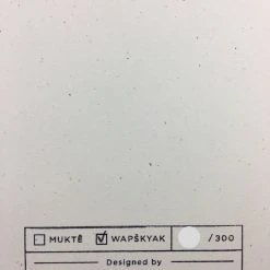 Jack White - 2014 Matthew Jacobson Poster Chicago, IL The Auditorium Theatre