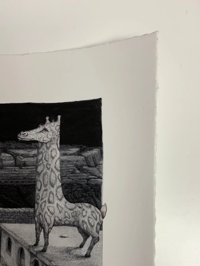 Art Prints Freda And The Hidden City - 2021 David Welker Poster, Art Print 6 Art Prints Freda And The Hidden City - 2021 David Welker Poster, Art Print