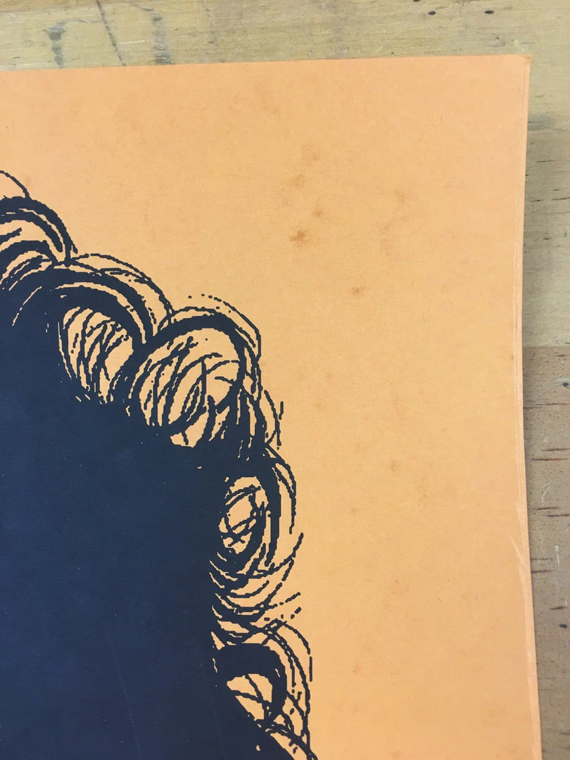 Bob Dylan The Rolling Stone - 2014 Brian Methe Art Print Orange Variant 8 Bob Dylan The Rolling Stone - 2014 Brian Methe Art Print Orange Variant