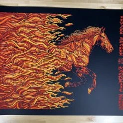 Edward Sharpe - 2012 Todd Slater Poster Ojai, CA Libbey Bowl Gig Posters