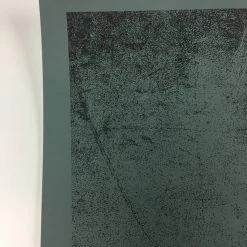 The Dead Weather - 2010 Todd Slater Poster Tokyo, Japan Zepp Jack White