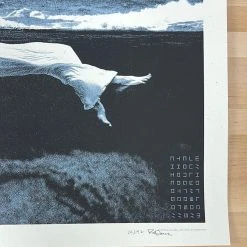 The Dead Weather - 2010 Rob Jones Poster Chicago, IL Congress Theater 12 The Dead Weather - 2010 Rob Jones Poster Chicago, IL Congress Theater