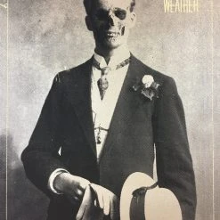 Gig Posters The Dead Weather - 2010 Mark McDevitt Poster Albuquerque, NM Sunshine Theatre