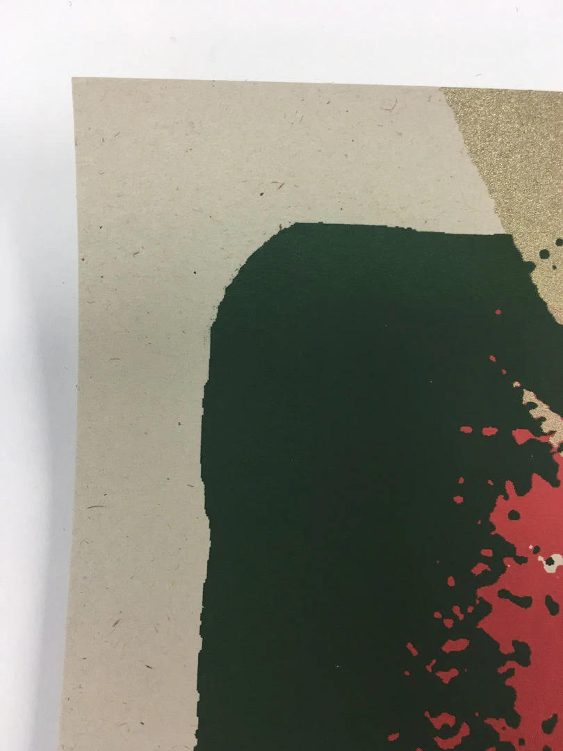 The Disco Biscuits - 2009 Todd Slater Poster Chicago, IL Congress Theater 7 The Disco Biscuits - 2009 Todd Slater Poster Chicago, IL Congress Theater