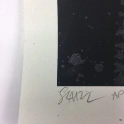 The Dead Weather - 2009 Todd Slater Poster Austin City Limits, TX Zilker Park