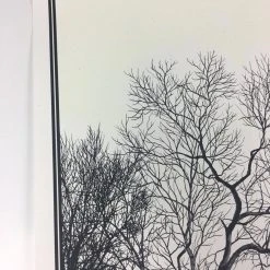 Wish You Were Here - 2011 Dan McCarthy Poster Art Print Art Prints