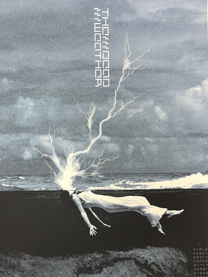 The Dead Weather - 2010 Rob Jones Poster Chicago, IL Congress Theater 3 The Dead Weather - 2010 Rob Jones Poster Chicago, IL Congress Theater