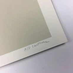 Paper Planes (Chicago Series) - 2013 Justin Santora Poster Art Print